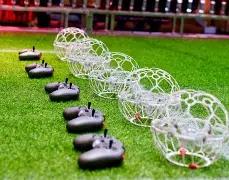 李连杰三亚,与女同行引,热议,大发彩票,互动竞猜平台,大发娱乐,预测挑战,大发彩票APP下载