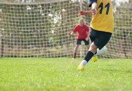 双色球预测,大揭秘,期独家解析,大发彩票,互动竞猜平台,大发娱乐,预测挑战,大发彩票APP下载