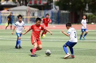 彩韵飘香,大乐透,精选后区爆,大发彩票,互动竞猜平台,大发娱乐,预测挑战,大发彩票APP下载