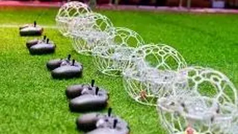 李连杰三亚与女同行引热议，颜值被指输给利智