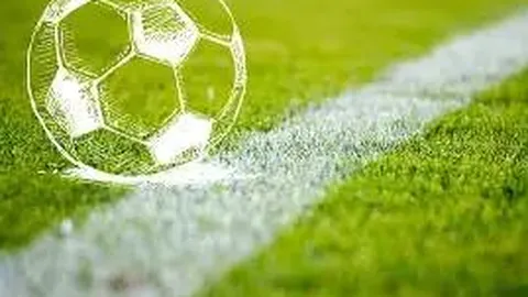 宋轶容貌巨变引热议，网友疑其整形风波