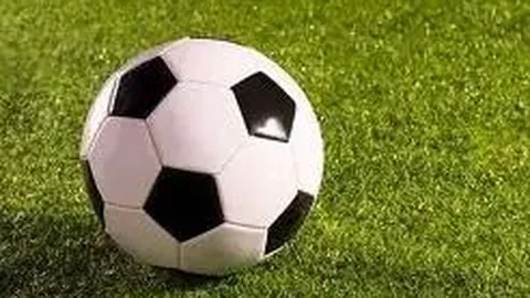 费德勒因伤告别2025赛季征程